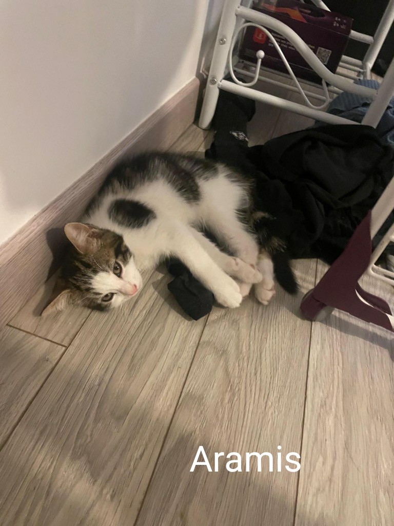 Aramis