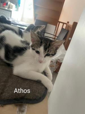 Athos