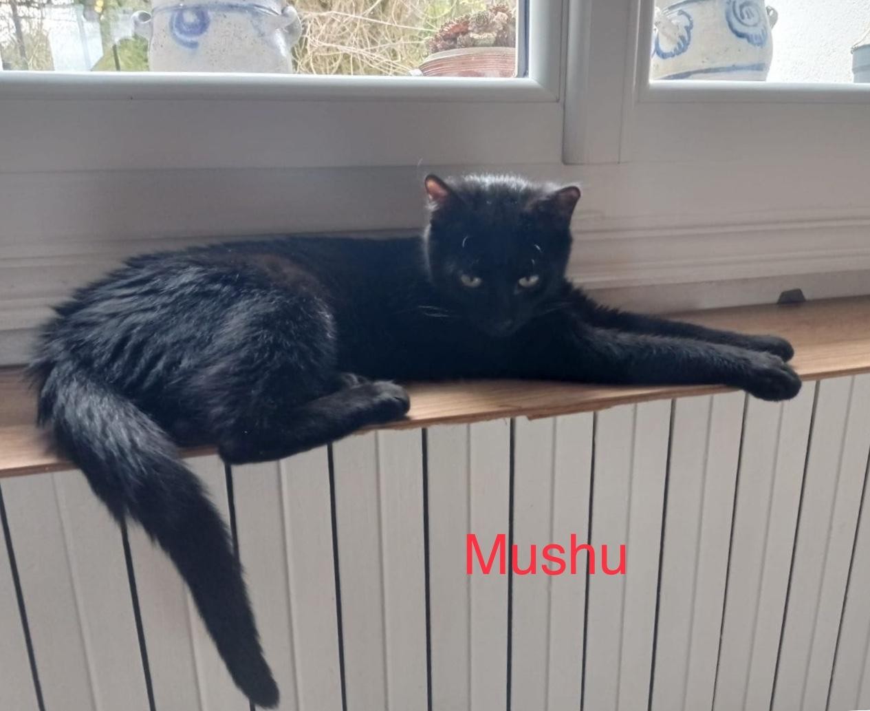 Mushu