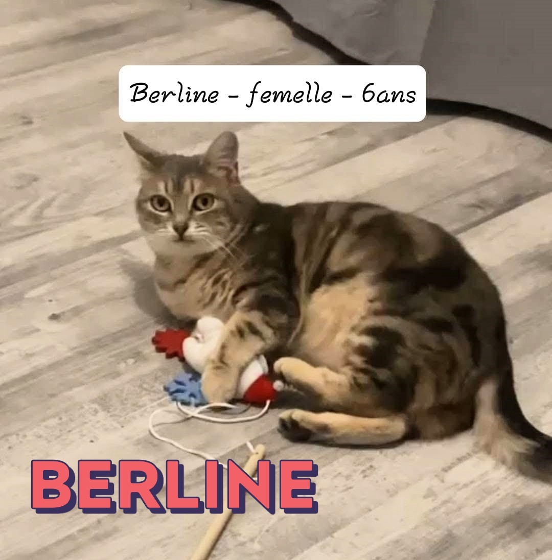 Berlne 2